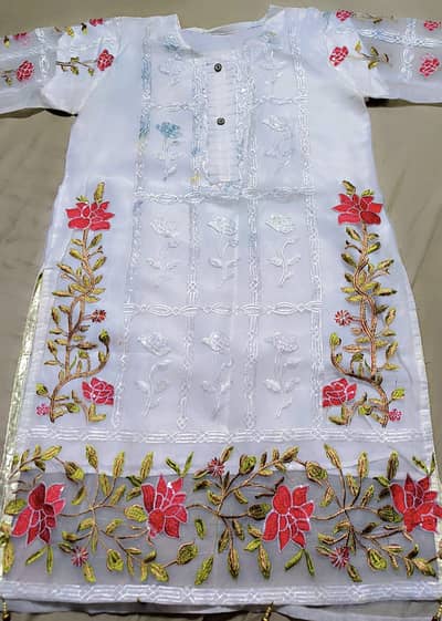 organza embroidered dress