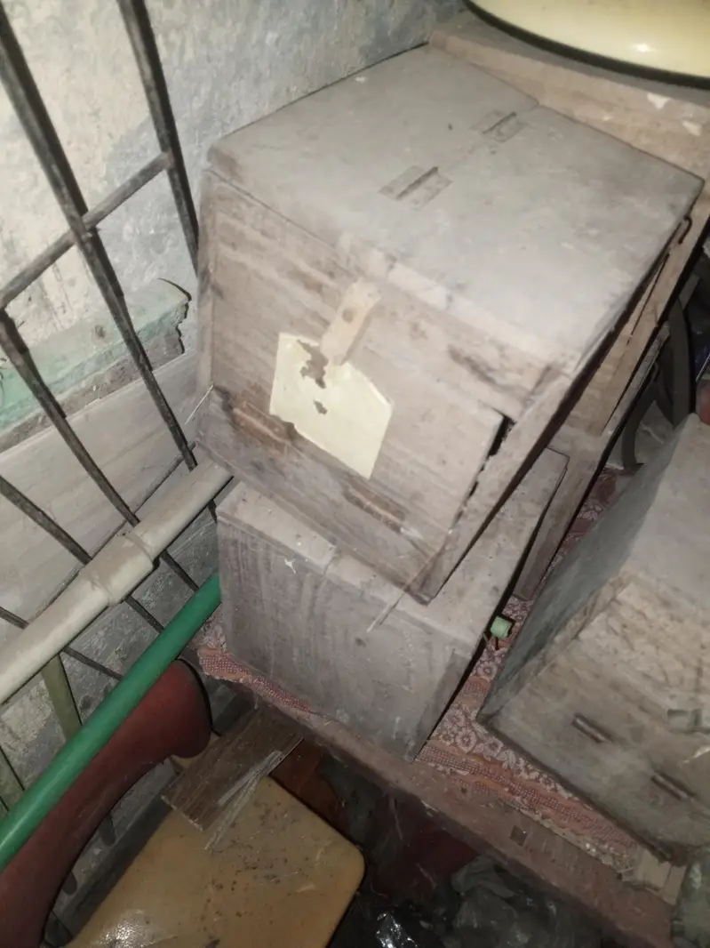 lovebird or Australian kikar boxes for sale prr peace 300 total 8 hw — photo 2