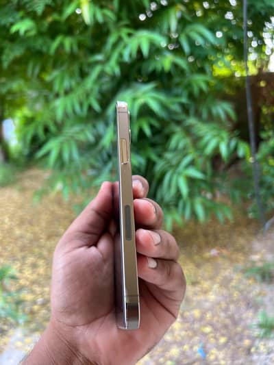 Apple iPhone 12 Pro