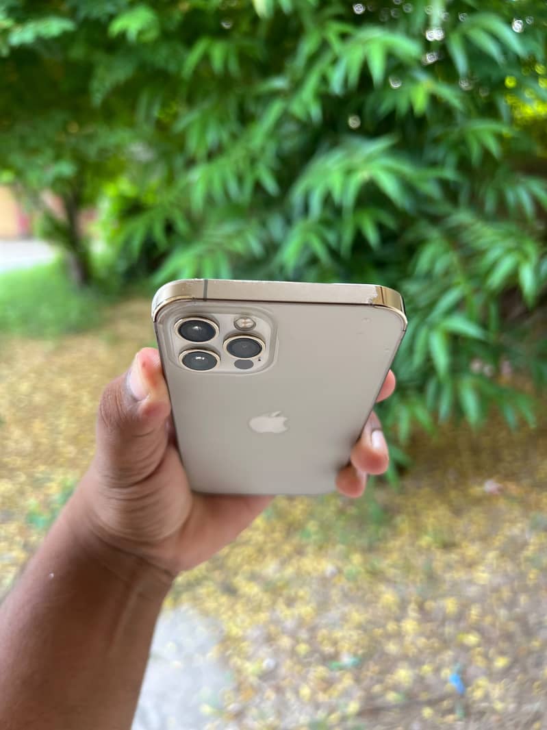 Apple iPhone 12 Pro 1