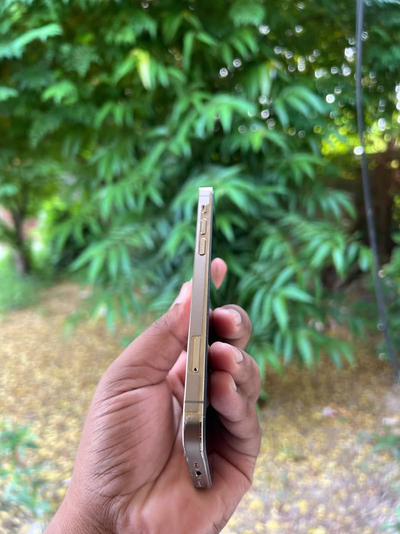 Apple iPhone 12 Pro 6