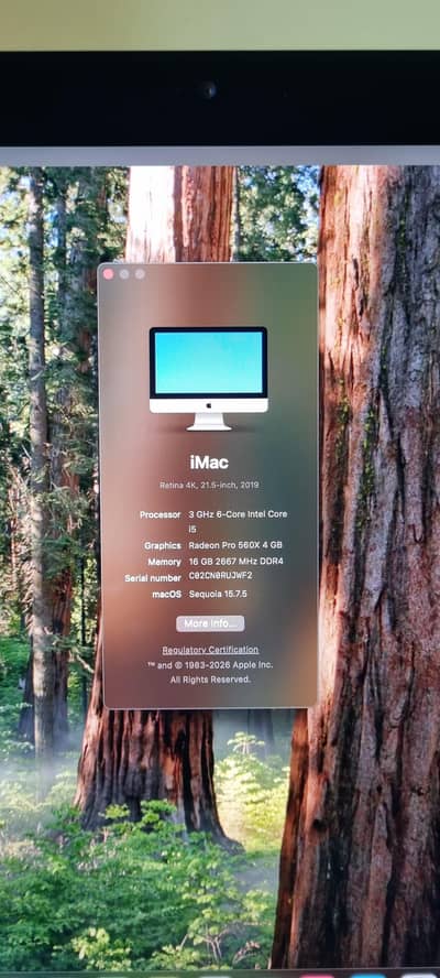 Apple iMac 2019 i5 | 21.5 inch | 16GB RAM | 1TB SSD | 4GB Graphics