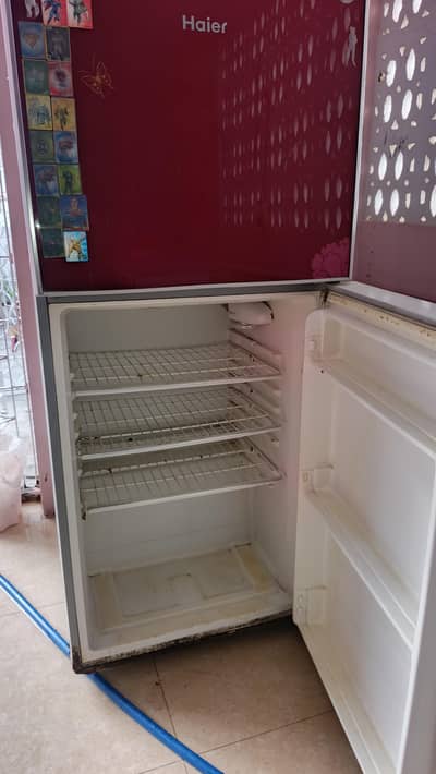 Haier fridge