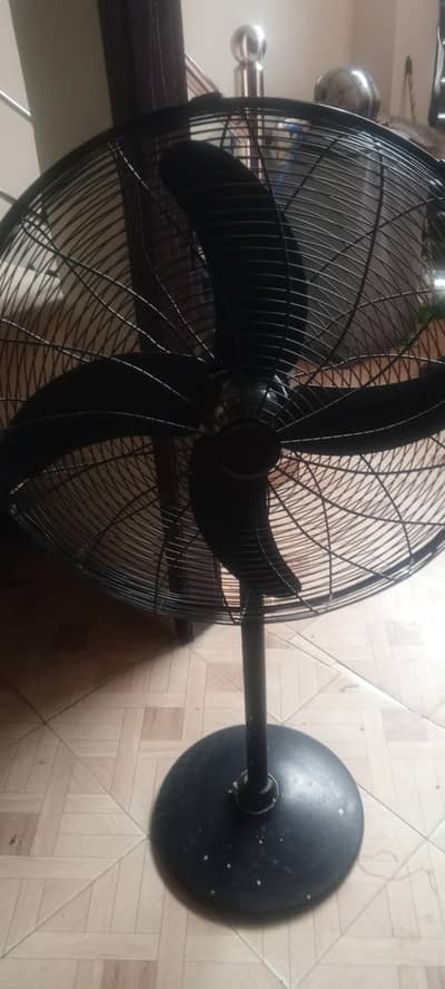 royal fan