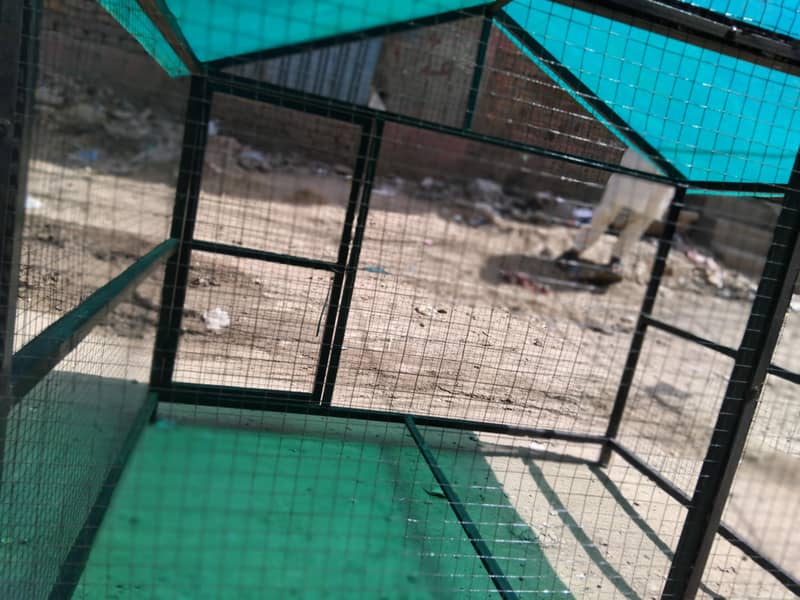 hen cage 1