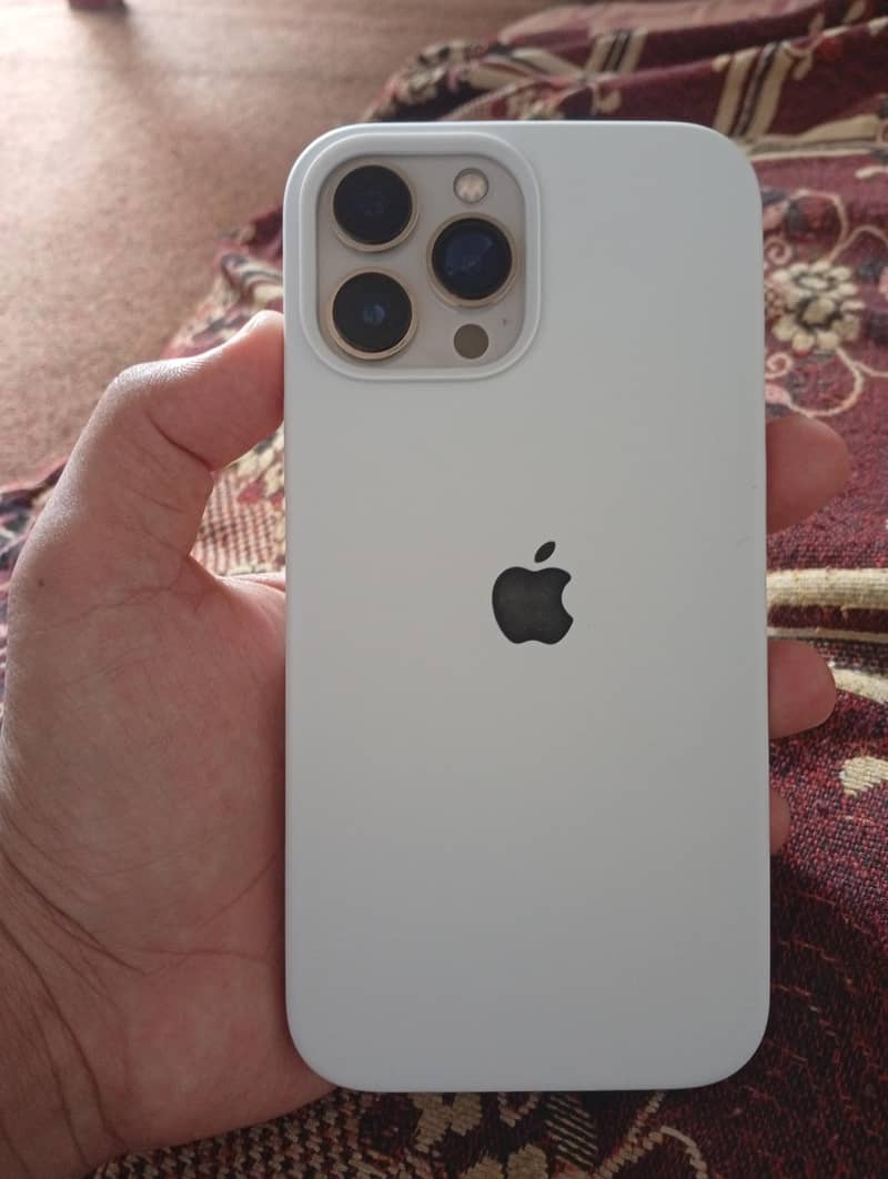 Apple iPhone 13 Pro Max 1