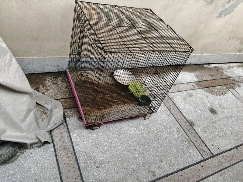 pinjra ful size. — photo 4