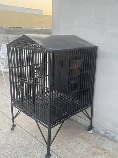 Parrot Cage