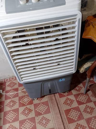 New coolar 10 by 10 condition