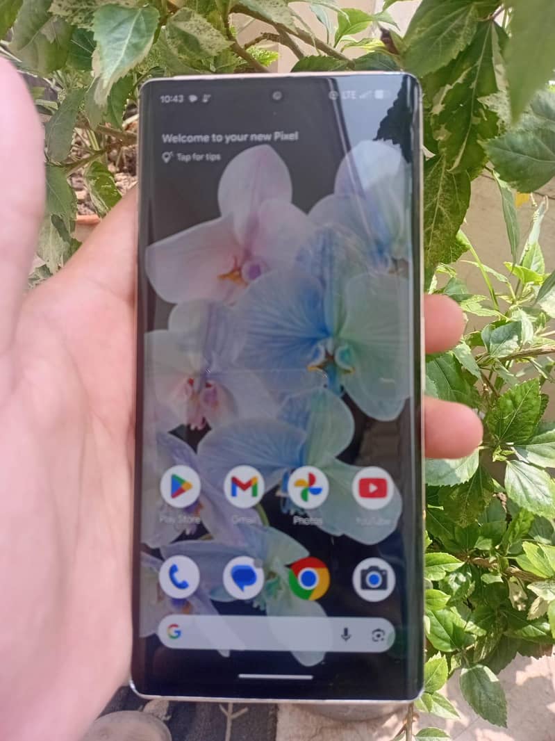 Google Pixel 6 Pro 3