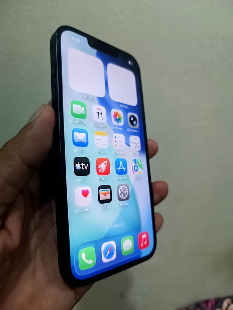 Apple iPhone 13 0