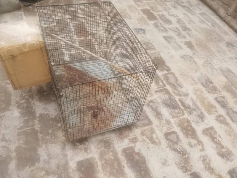 cages 1