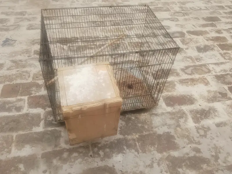cages — photo 3