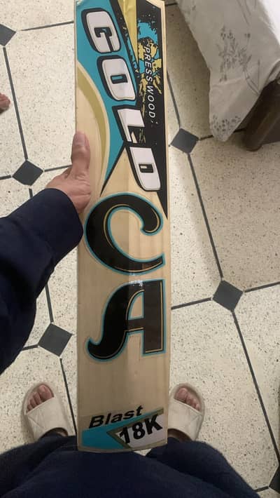 CA Hard Ball Bat Reasonable Price