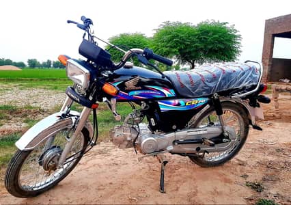 Honda CD70 2024 Lush APL (0306.6655410