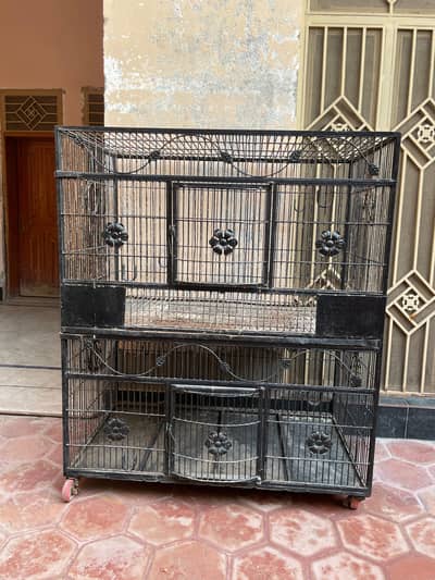 Parrot cage