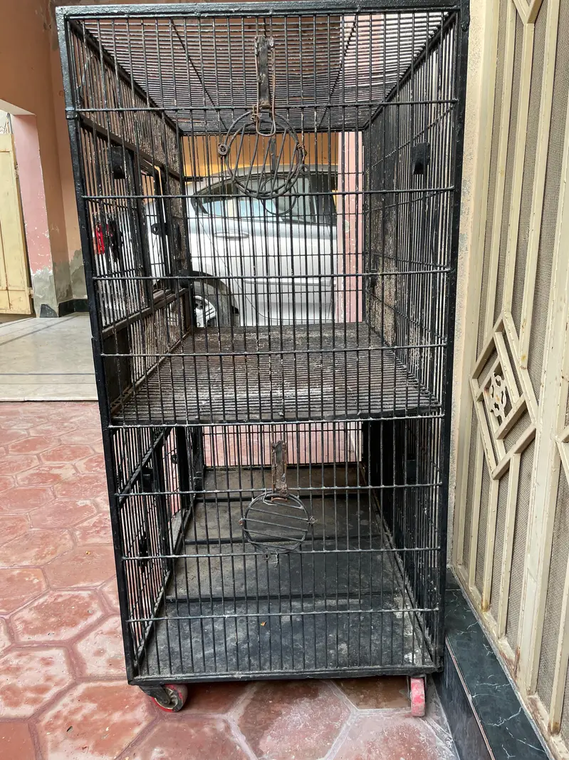 Parrot cage — photo 3