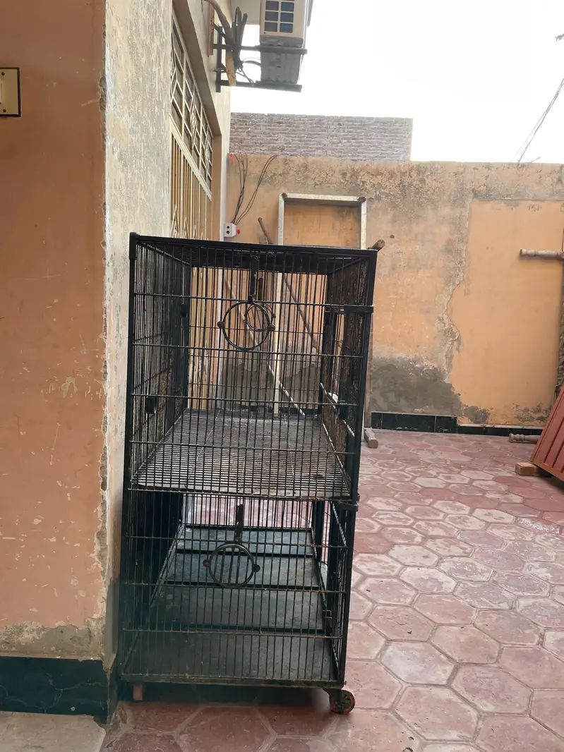 Parrot cage — photo 4