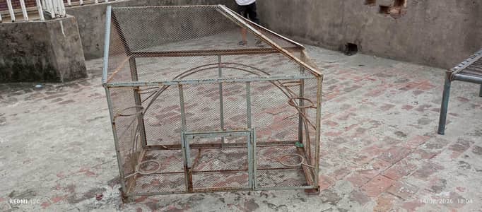 birds or hens  cage