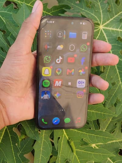 iPhone 14 Pro Max bypass