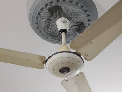 Pak Fan Full size Ceiling Fan for Sale in good Working Condition.