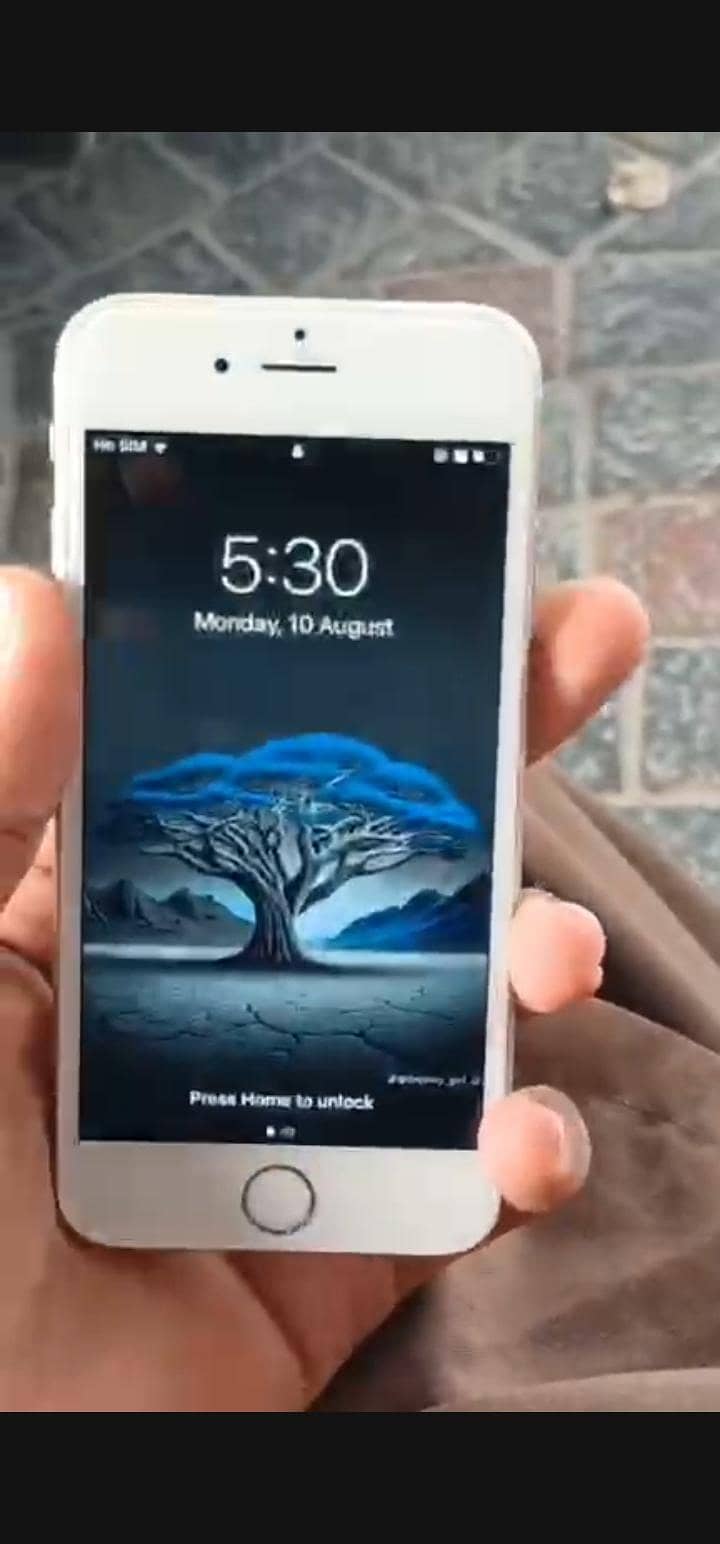 Apple iPhone 6 Plus 2