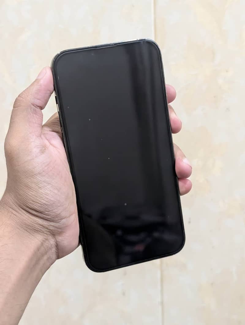 Apple iPhone 13 Pro Max 10