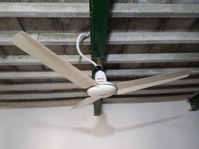 2nd hand Younas fan and Royal fan (ceiling)