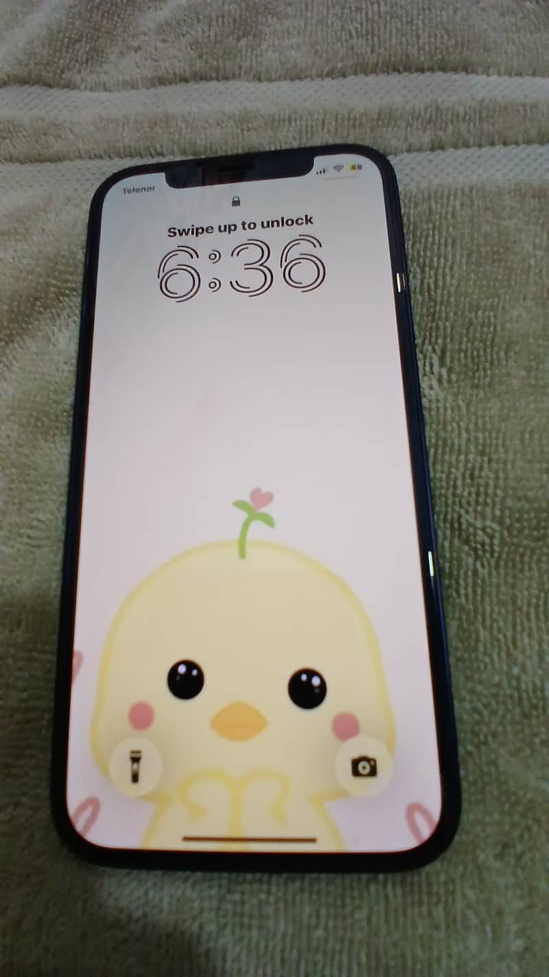 Apple iPhone 12 11