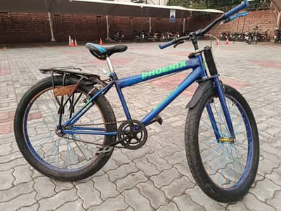 Phoenix Mountain Bicycle