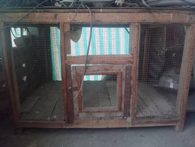 Cage desi hai mazboot hai
