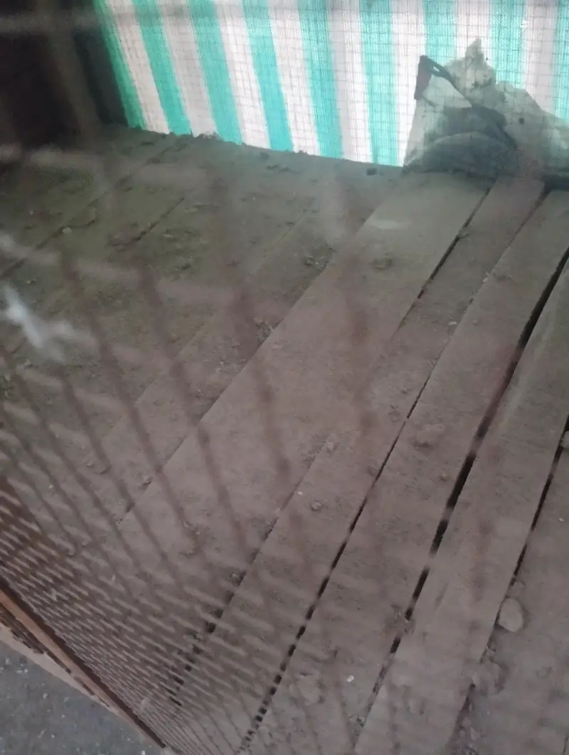 Cage desi hai mazboot hai — photo 2