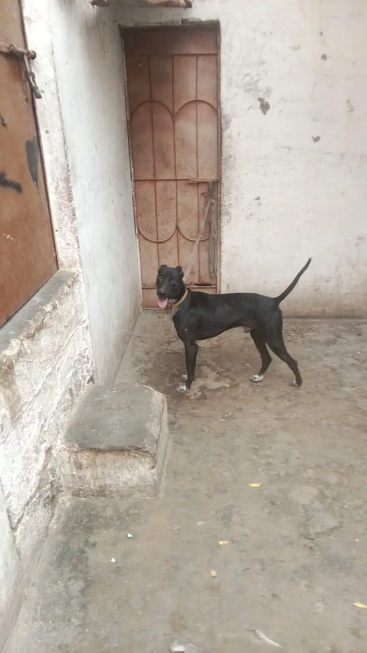 03111831044cal WhatsApp — photo 7