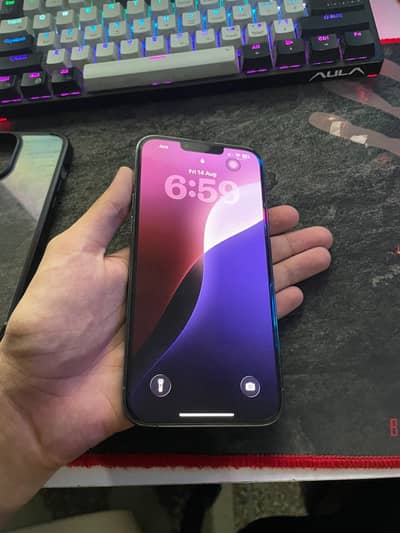 Apple iPhone 13 Pro Max