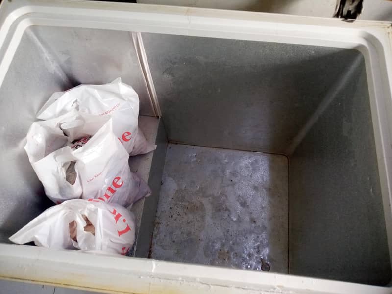 waves freezer 3