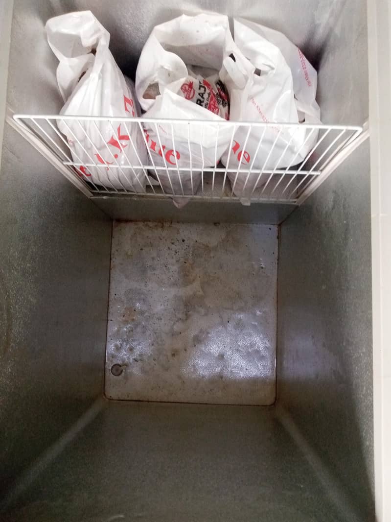 waves freezer 4