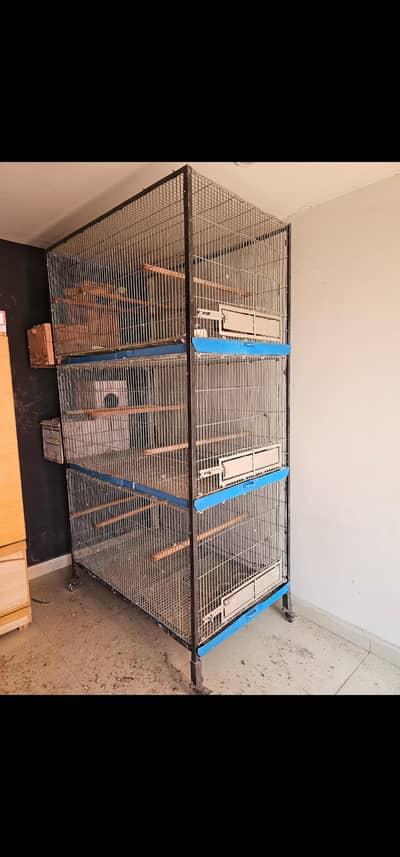 Birds Cage For Sale