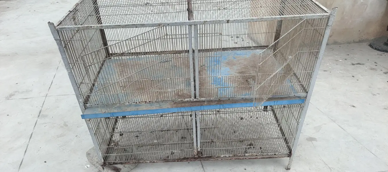 Cage For Sale ( Pingra)
