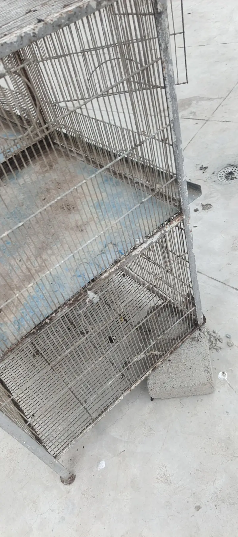 Cage For Sale ( Pingra) — photo 2