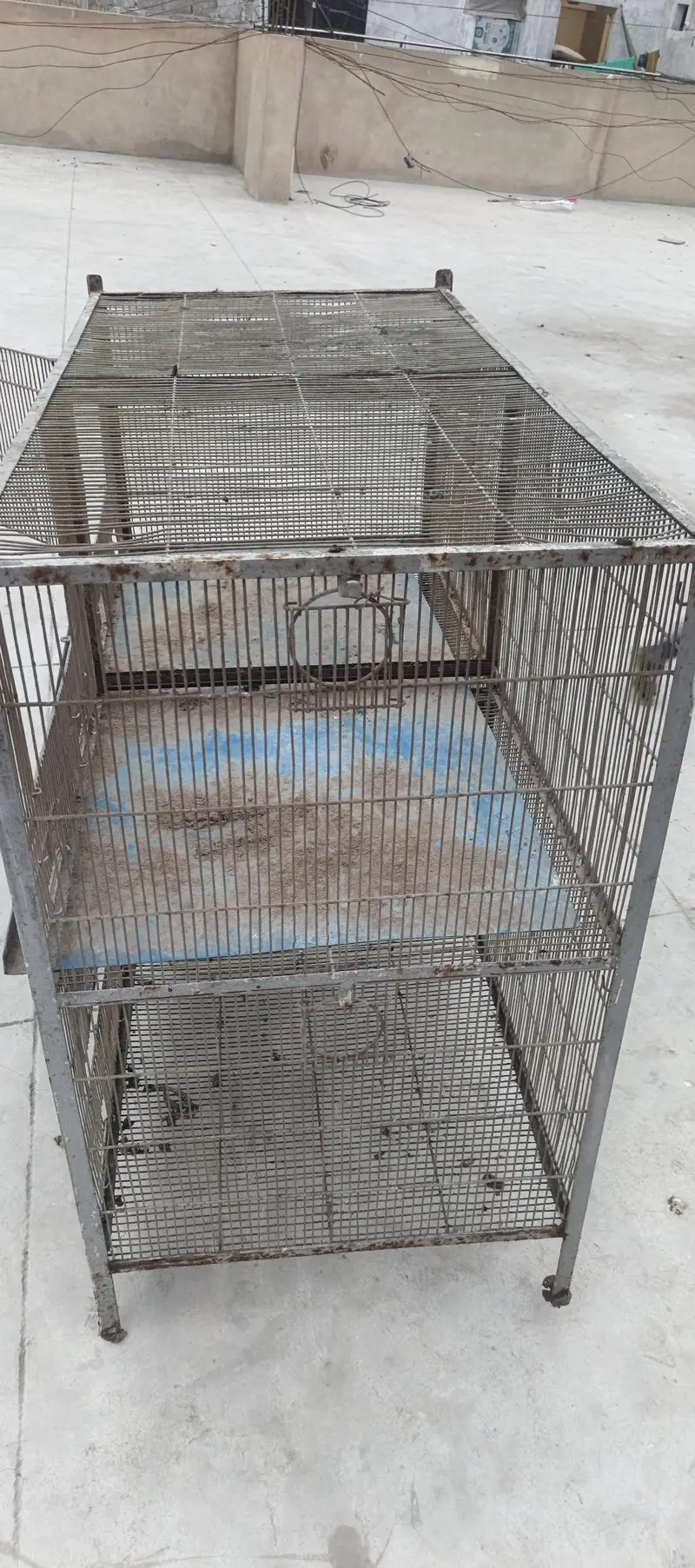 Cage For Sale ( Pingra) — photo 3