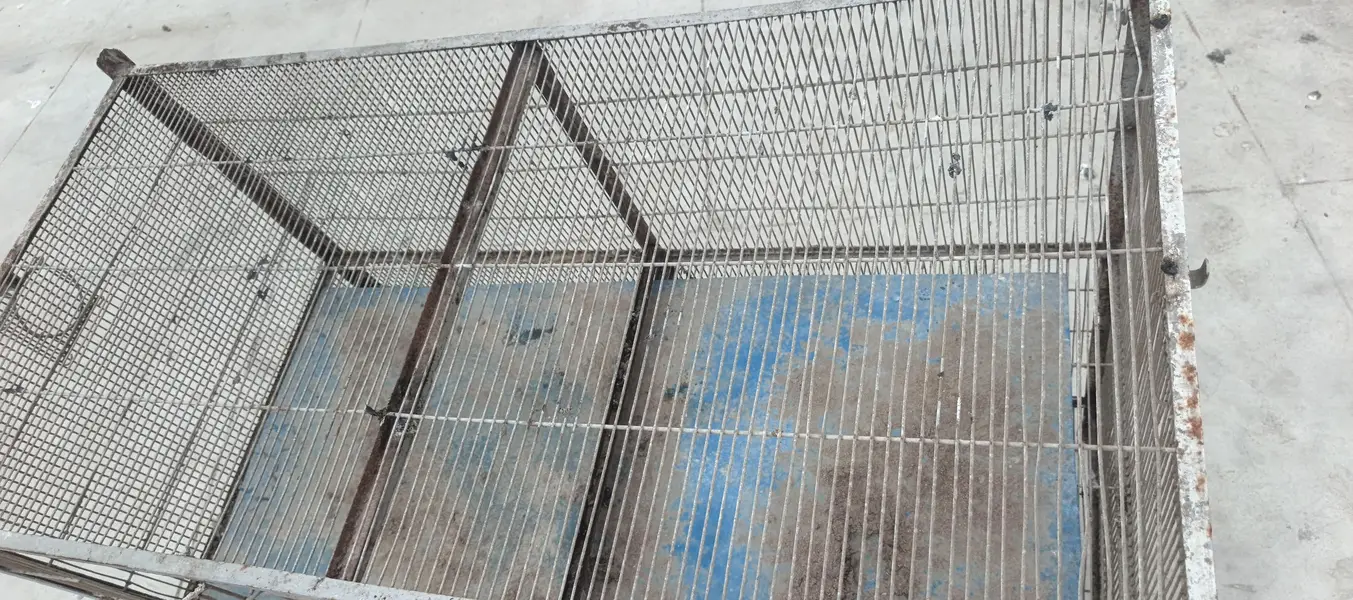 Cage For Sale ( Pingra) — photo 4