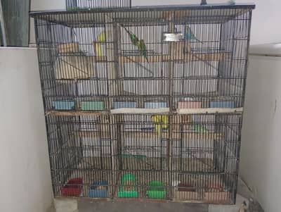 cage and budgies