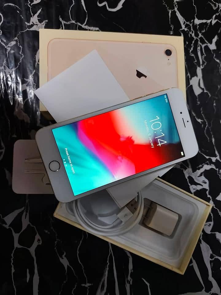 Apple iPhone 6S Plus 1