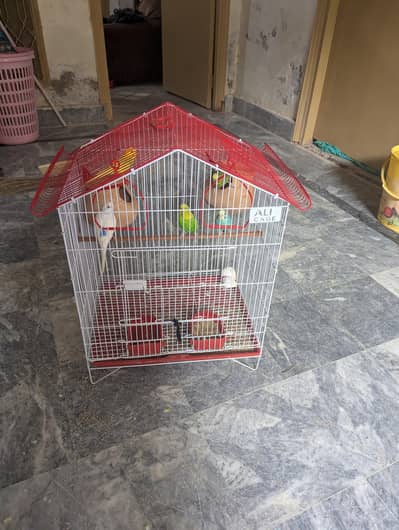 full setup for sell big size cage new condition