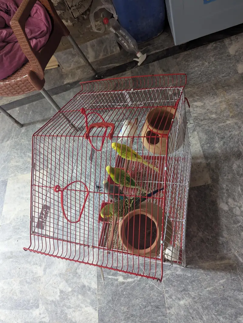 full setup for sell big size cage new condition — photo 4