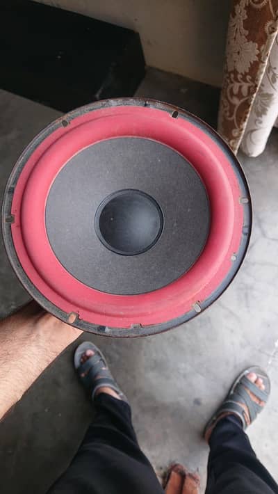 8" woofer speaker O3O52O65229