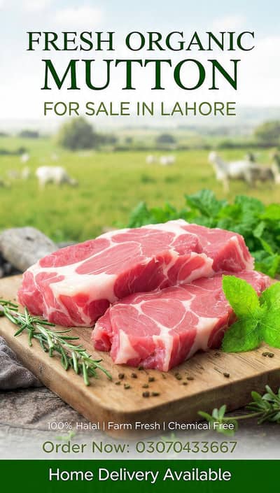 Fresh and organic and healthy meat with money back guarantee