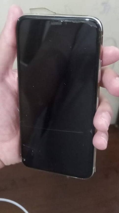 Apple iPhone X 1