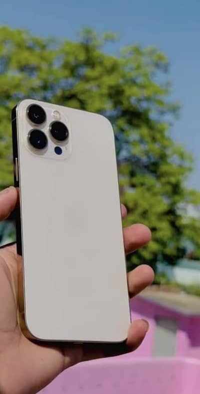 Apple iPhone 13 Pro Max