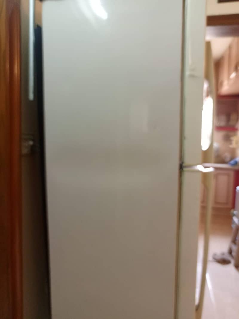 fridge 0